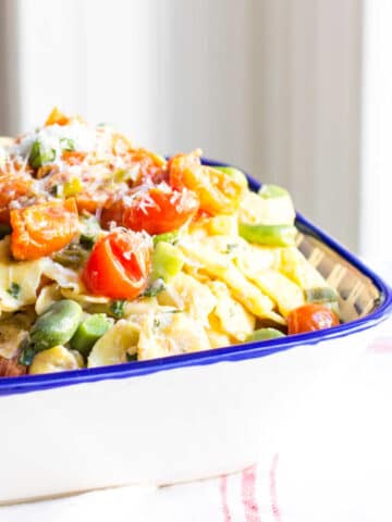 A bowl of tortellini pasta tossed with fava beans, tomatoes and herbed ricotta cheese.